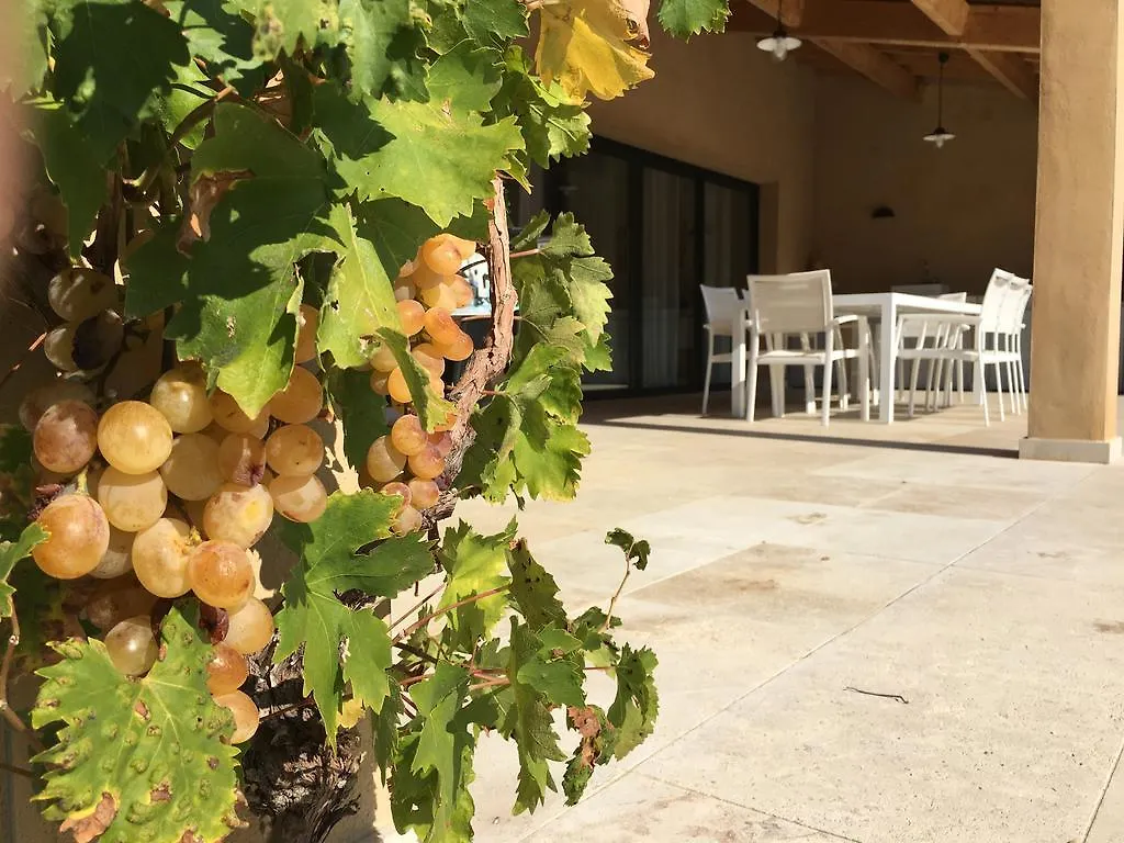 Villa Le Grimpeur Malaucene 0*,